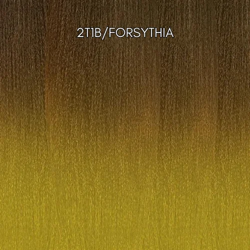 2T1B/FORSYTHIA