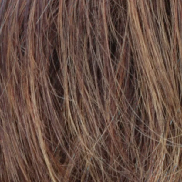 R32/33/40F | Dark Brown / Dark Auburn / Medium Golden Blonde Frost