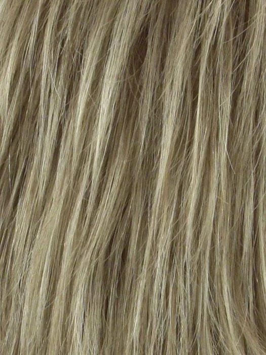 SUNNY BLONDE | Medium Ash Brown tipped with Gold Blonde highlights