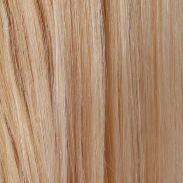 R613/24H | Pale Golden Blonde/Light Ash Blonde Highlights