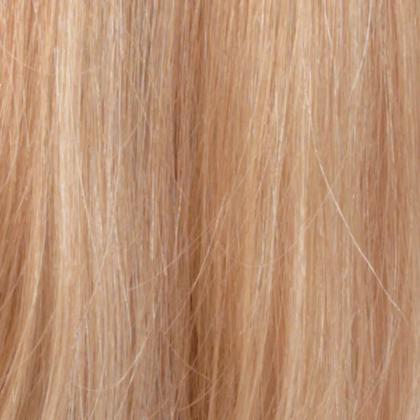 RH1488 | Dark BLonde w/Lightest Blonde Highlights