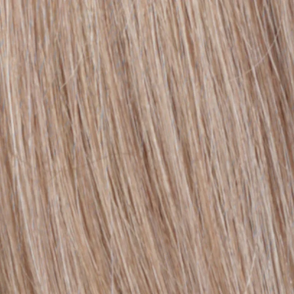 R10/24BT | Pale Golden Blonde Blended & Tipped w/Light Brown