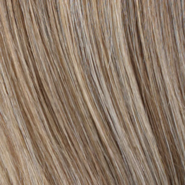 R12/26H | Light Brown with Golden Blonde Highlights